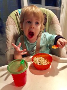 Got Leftovers?! Kid Friendly Meal Ideas for Holiday Leftovers. Our Kids Love ’em!