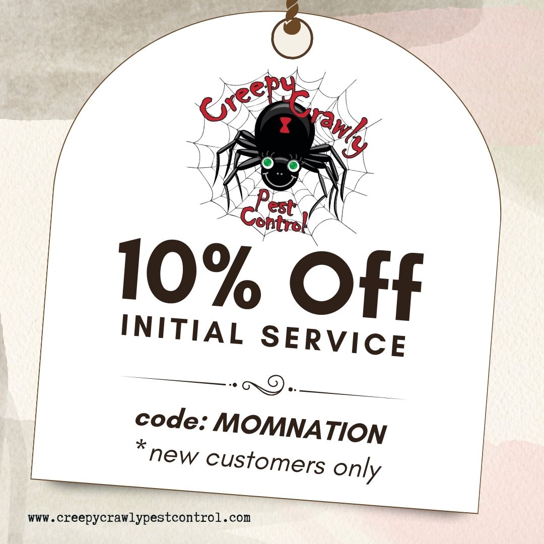 10% Off Initial Service – Creepy Crawly Pest Control